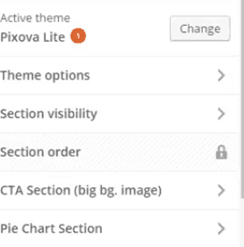 <p>Click Theme Options > General > Customize Site Title and Copyright content and other options . Go back to Theme Options > Site Identity > Add logo and tagline to add your logo and tagline. Go back to Theme Options > Blog Setting to customize blog settings. Click on other options for further customization. Click Save and Publish to save changes.</p>
